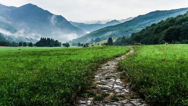 Breaking Barriers: Pathways to Leadership